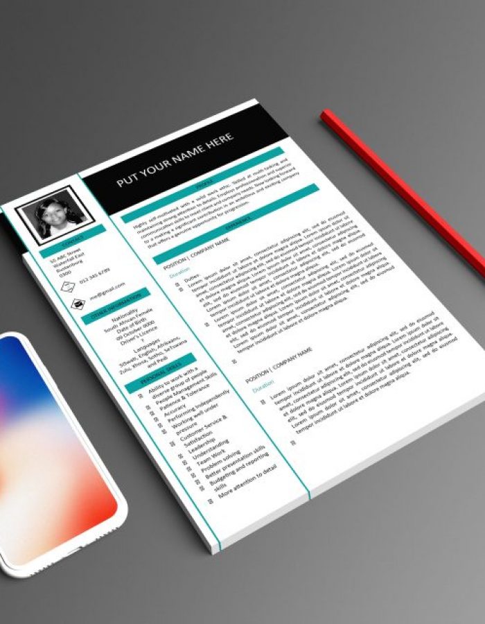 3 Page Professional CV Template